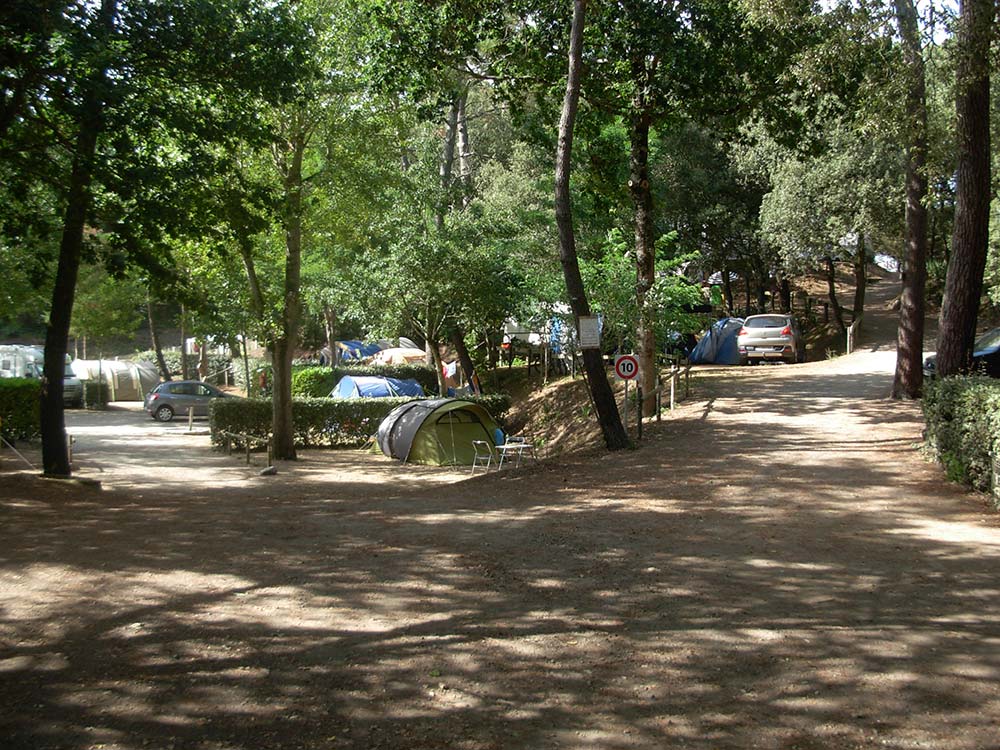 location emplacement camping ombragé