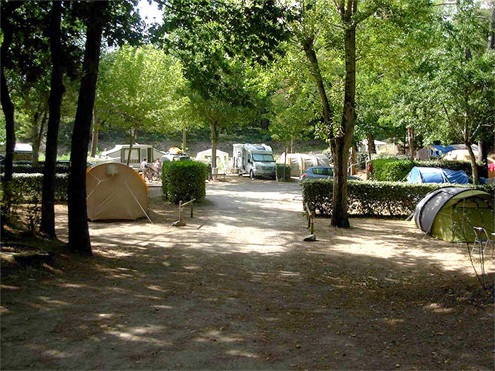 location emplacement camping authentique La Tranche sur Mer