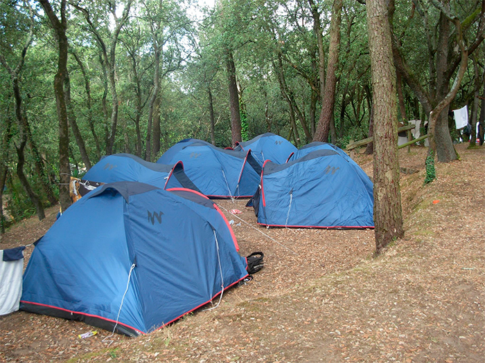 location sur un petit camping authentique sur la Vendée